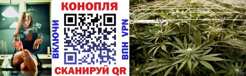 Каннабис план  hydra сайт  Михайлов 